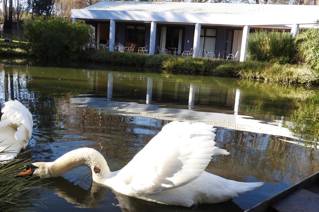 Willow Place Guest House Midrand Kültér fotó